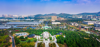 ld体育（中国）登录入口产业