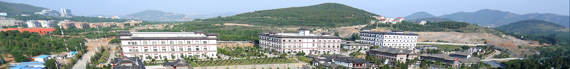 ld体育（中国）登录入口资讯