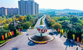 ld体育（中国）登录入口集团简介